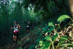 BIB: 
                            <button type="button" onclick="openModal(28124452)" class="btn btn-primary btn-sm float-right btn-popup" data-toggle="modal" data-target=".modal-high-quality">
                        <i class="fas fa-shopping-cart"></i> Add to Cart
                    </button>
                                            <button type="button" onclick="isThisMe(28124452, true)" class="btn btn-success btn-sm float-right btn-popup btn-isme hidden" data-toggle="tooltip" data-placement="bottom" title="นี่คือรูปของคุณใช่ไหม คลิกที่นี่เพื่อเอาเข้าอัลบั้ม">
                        <i class="fas fa-plus"></i> Add to album
                    </button>
                    <button type="button" onclick="isThisMe(28124452, false)" class="btn btn-warning btn-sm float-right btn-popup btn-isnotme hidden">
                        <i class="fas fa-ban"></i> Remove from album
                    </button>